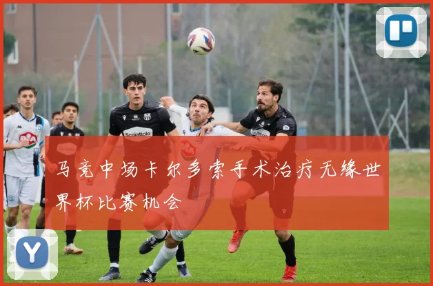 马竞中场卡尔多索手术治疗无缘世界杯比赛机会